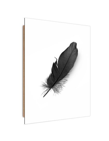 Tableau bois Black feather