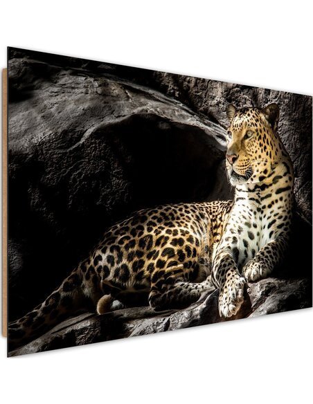 Tableau bois leopard on the rocks