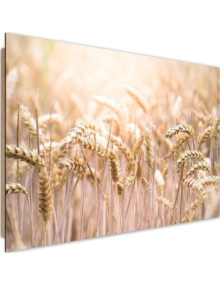 Tableau bois grain in the sun