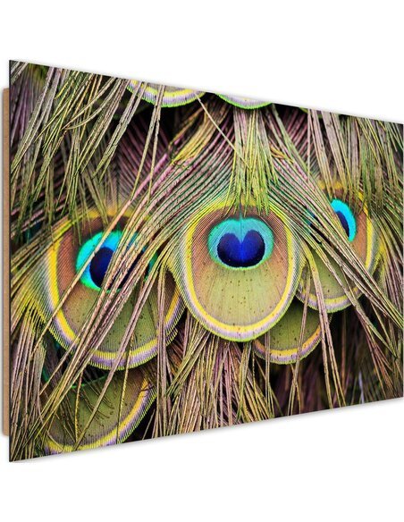 Tableau bois Peacock feathers
