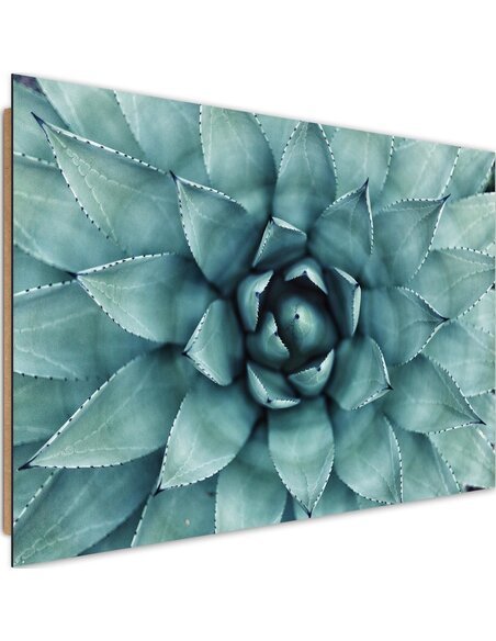Tableau bois Blue agave leaves