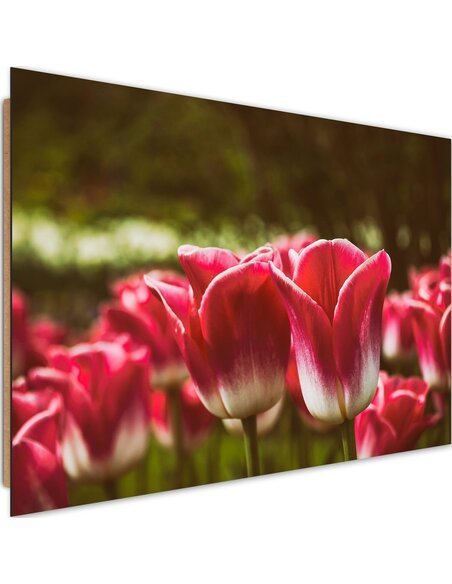 Tableau bois Blooming tulips