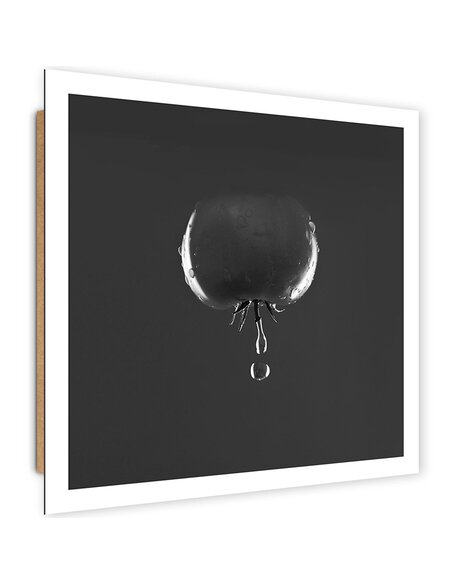 Tableau bois tomato and water drops 2