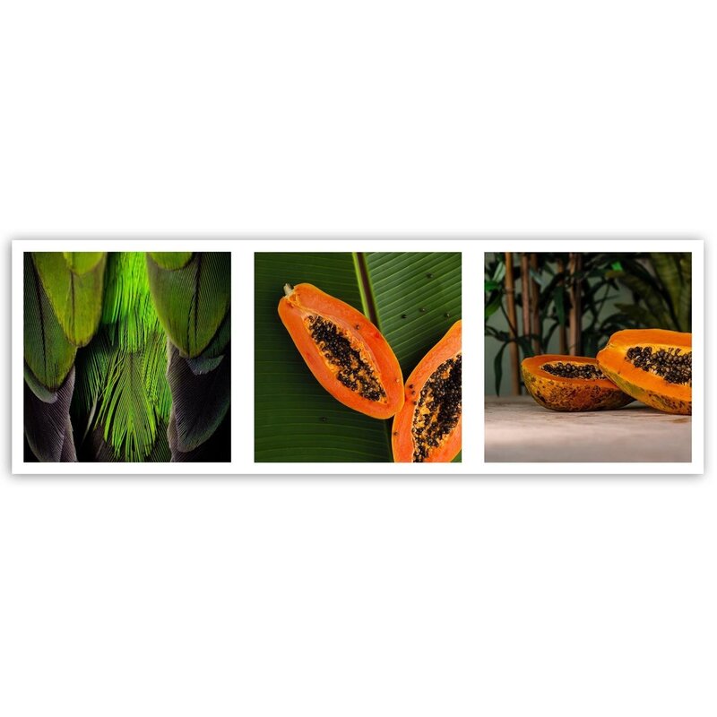 Tableau bois Juicy papaya