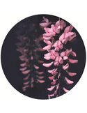 Tableau bois acacia flowers 1