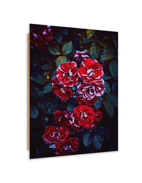 Tableau bois rose flowers on a branch