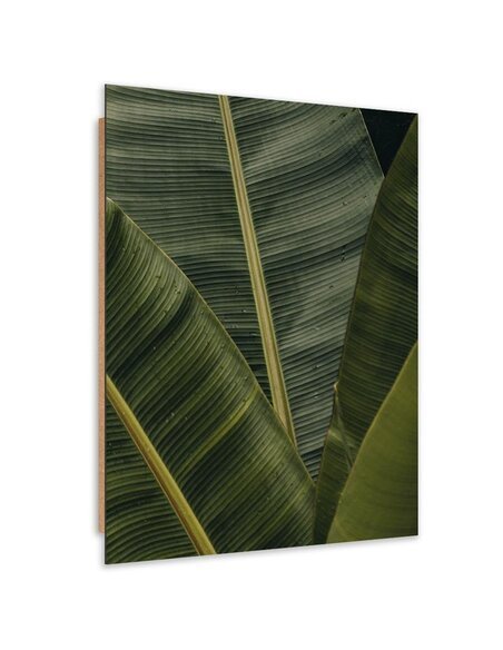 Tableau bois Banana exotic plant