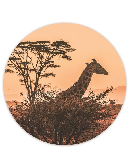 Tableau bois morning on the savannah