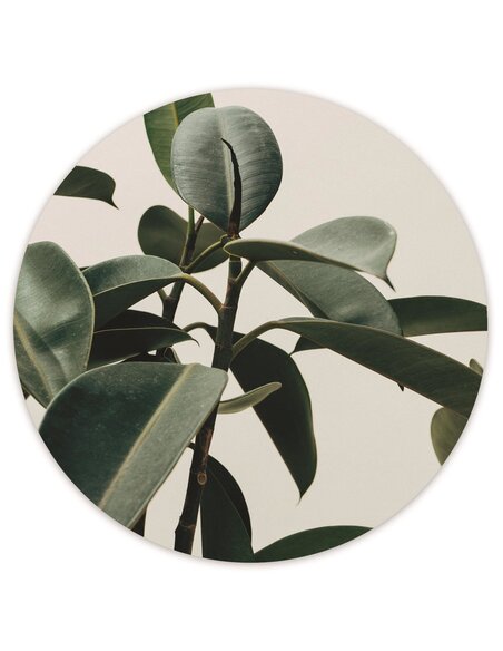 Tableau bois Plant Home