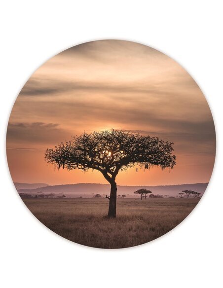 Tableau bois tree savannah