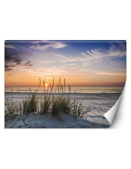 Papier peint Coucher de soleil sur la plageL | Feeby | Bleu