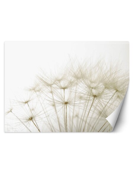 Papier peint Gros plan d'une mouche à viandeL | Feeby | Beige