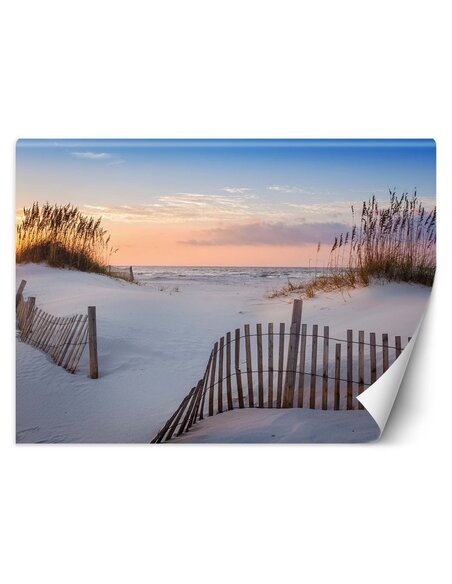 Papier peint Plage sur la mer BaltiqueL | Feeby | Beige