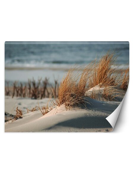 Papier peint Dunes sur la mer BaltiqueL | Feeby | Beige