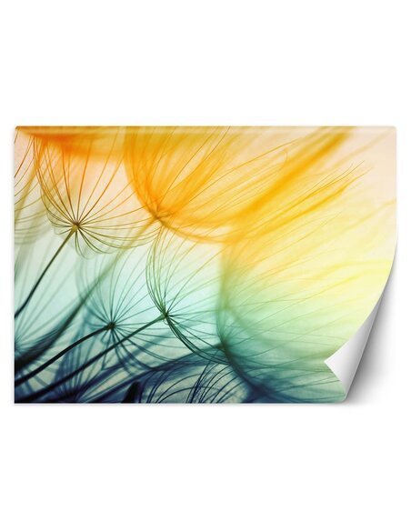 Papier peint Des sarbacanes coloréesL | Feeby | Multicolore