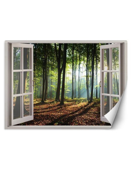 Papier peint matin dans la forêtL | Feeby | Marron