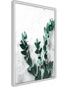 Tableau cadre Élément vert, affiche botanique encadrée aux feuilles vertes sur fond blanc