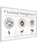 Tableau cadre Comment reconnaître un animal
