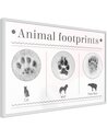 Tableau cadre Comment reconnaître un animal