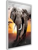 Tableau cadre Éléphant majestueux, éléphant gris face au soleil couchant orangé