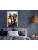 Tableau Éléphant majestueux accroché au mur d'une chambre bleu-gris, cadre blanc