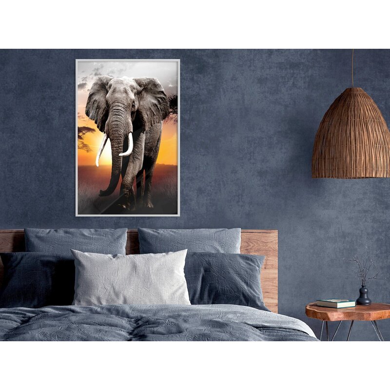 Tableau Éléphant majestueux accroché au mur d'une chambre bleu-gris, cadre blanc