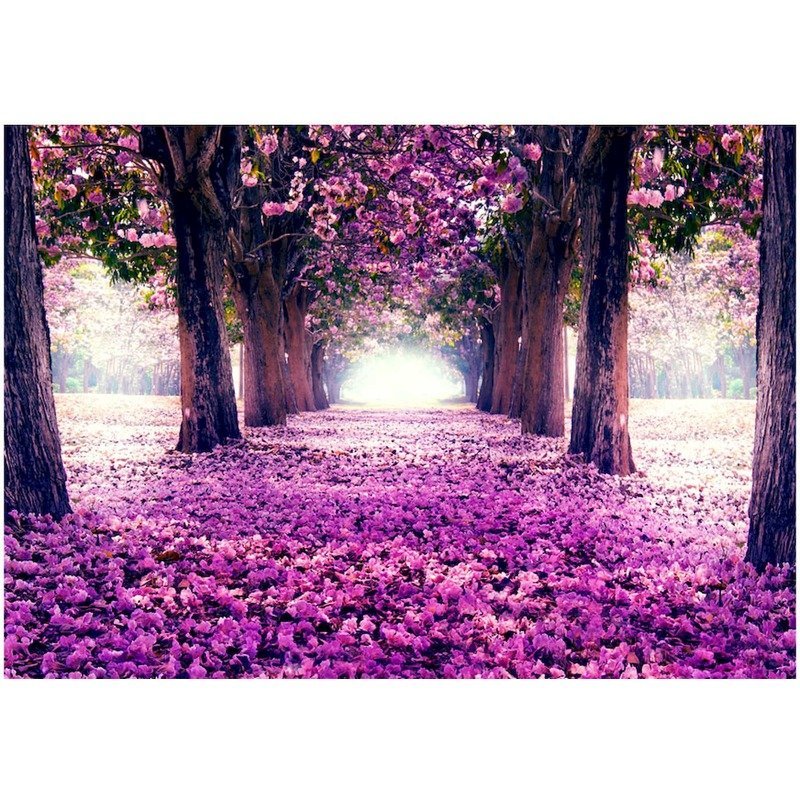 Papier peint adhésif Route des fleurs