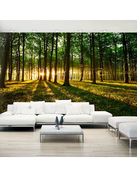 Papier peint adhésif Matin mystique ii | Artgeist | Vert, brun, jaune