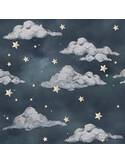 Papier peint Papier peint Magic night sky