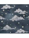 Papier peint Papier peint Magic night sky