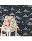 Papier peint Papier peint Magic night sky