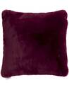 Coussin Avis