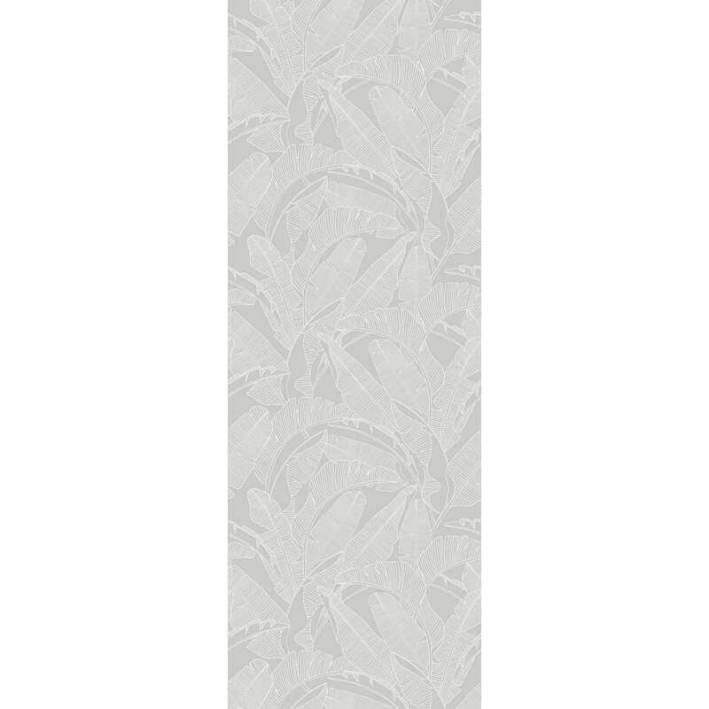 Papier peint grandes feuilles de palmier