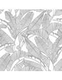 Papier peint grandes feuilles de palmier