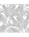 Papier peint grandes feuilles de palmier