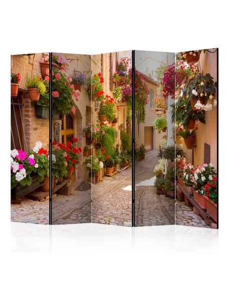 Paravent 5 volets The Alley in Spello (Italy) II