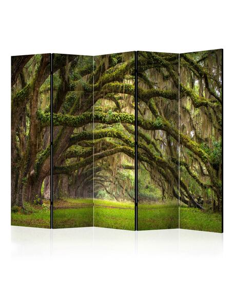 Paravent 5 volets Tree embrasse II