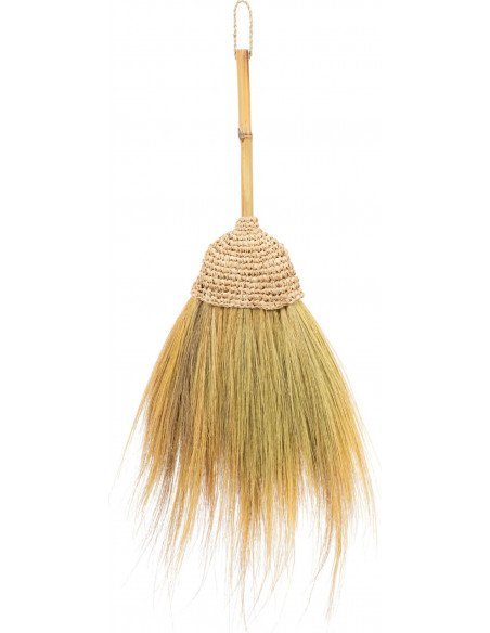 Brosse de balayage 30x4x75cm