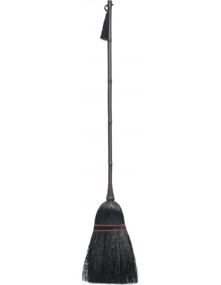 Brosse de balayage 30x5x140cm