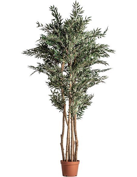 Fougère décorative tendance