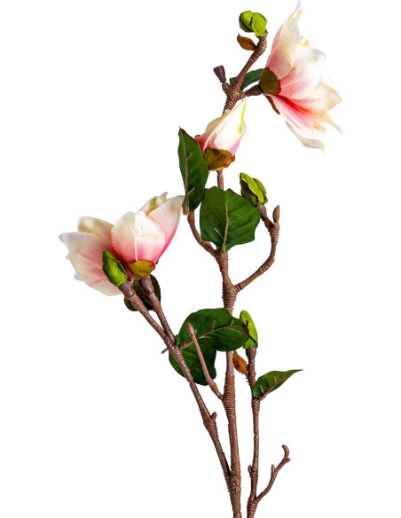 Fleur Yulan Blanche Charme d'Intérieur
