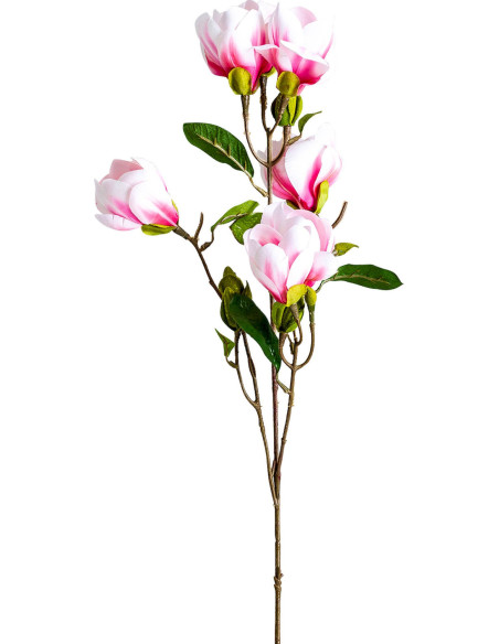 Fleur Magnolia Rose Déco