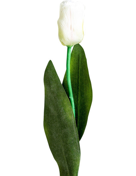 Fleur Tulipe Décorative Élégante