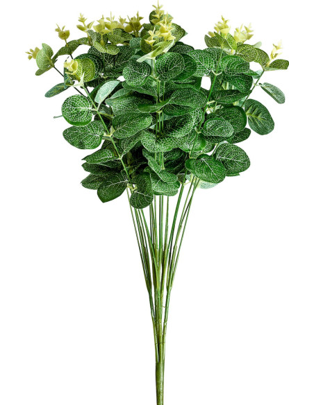 Plante verte décorative classique