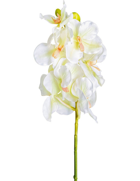 Fleur Classique Azahar Élégance