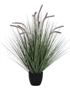 Miroir doré en bois sculpté Meti
