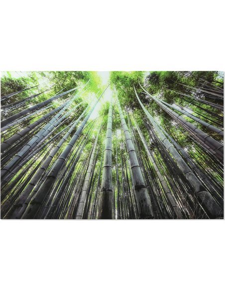 décoration murale bambou zen en verre trempé élégant